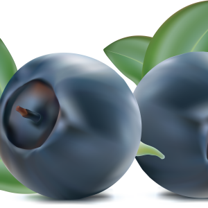 Blueberries PNG
