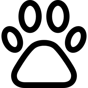 Paw PNG
