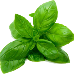 Spinach PNG
