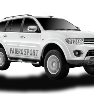 Mitsubishi PNG