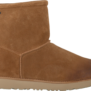 UGG boots PNG