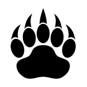 Paw PNG