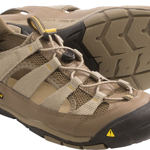 Sandals PNG image