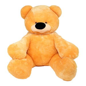 Teddy bear PNG