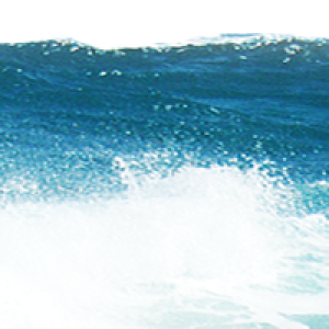 Sea PNG