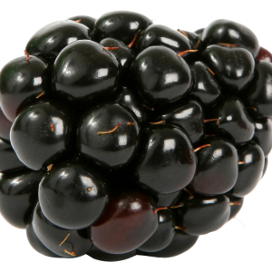 Blackberry PNG