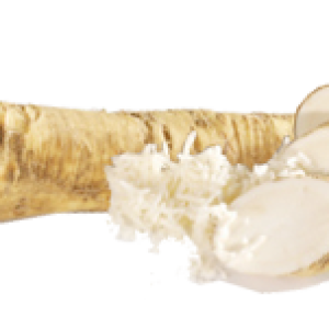 Horseradish PNG