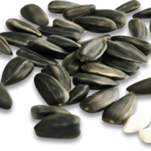 Sunflower seeds PNG