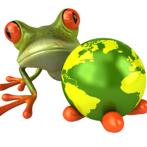 Frog PNG