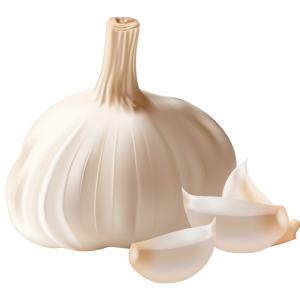 Garlic PNG