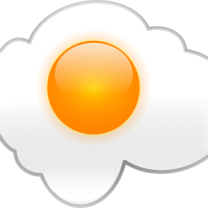 Fried egg PNG