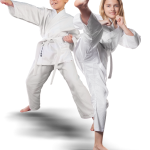 Karate PNG