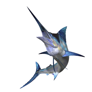 Swordfish PNG