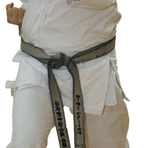 Karate PNG