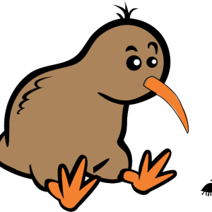 Kiwi bird PNG