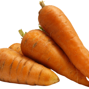 Carrot PNG image