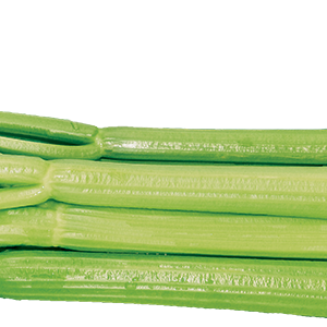 Celery PNG
