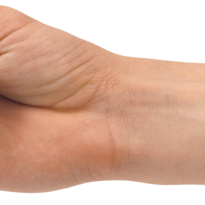 Two finger hand, hands PNG, hand image free