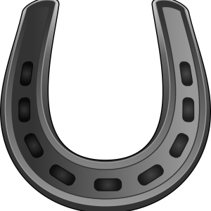 Horseshoe PNG