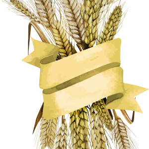 Wheat PNG