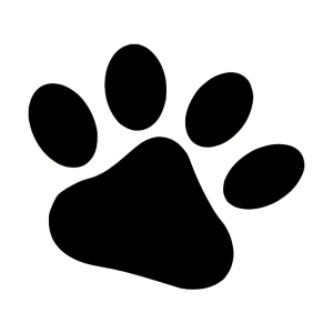 Paw PNG