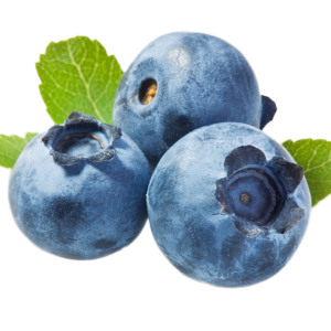 Blueberries PNG