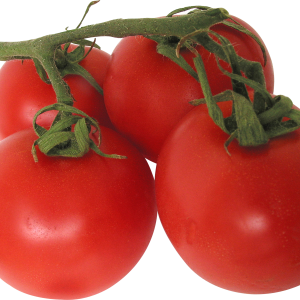 Tomatoes PNG