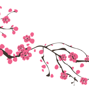 Sakura PNG