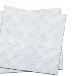 Napkin PNG