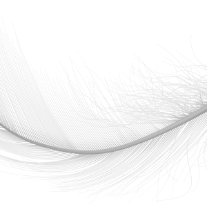 Feather PNG