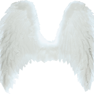 Wings PNG