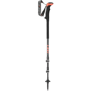 Trekking pole PNG