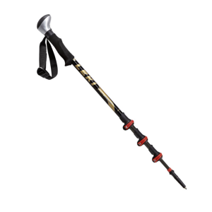 Trekking pole PNG