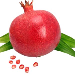 Pomegranate PNG