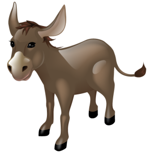Donkey PNG