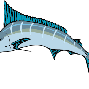 Swordfish PNG
