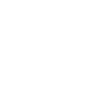 Phone icon PNG