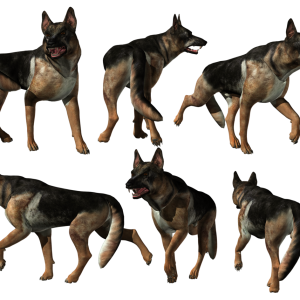 German Shepherd PNG