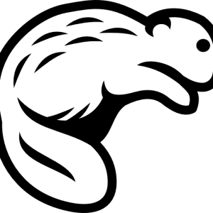 Beaver PNG