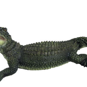Crocodile PNG