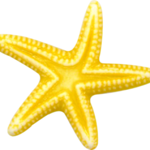 Starfish PNG