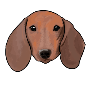 Dachshund PNG