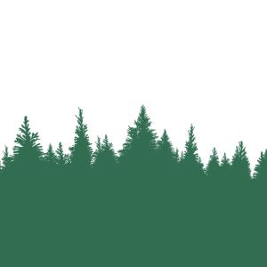 Forest PNG