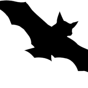 Bat PNG