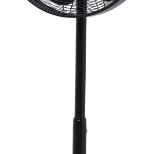 fan PNG