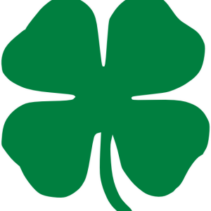 Clover PNG