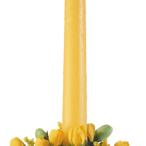 Candle PNG image