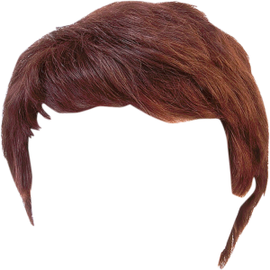 Hair wig PNG