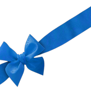 Blue bow PNG image