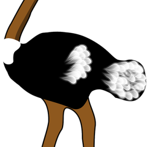 Ostrich PNG